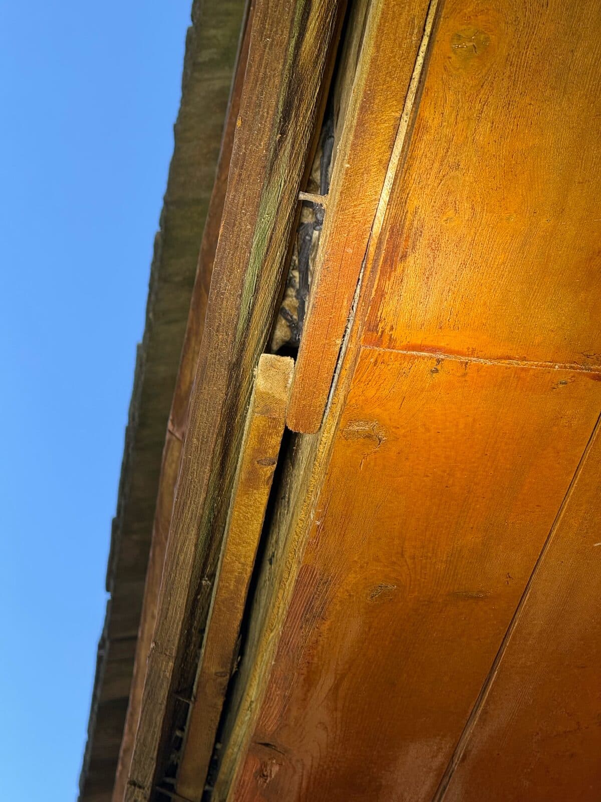 Narrow gap between wood fascia and siding with dark material visible inside